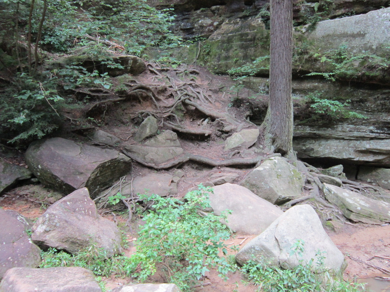 Illustration for article titled Final installment: Ash Cave and Cedar Falls